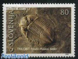 Fossiles, Paladin bedici 1v