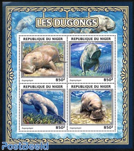 dugongs