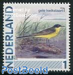 Birds, Yellow Wagtail 1v