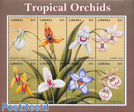 Orchids 8v m/s