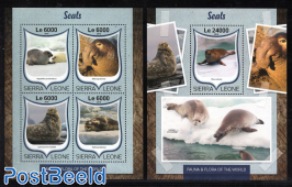 Seals 2 s/s
