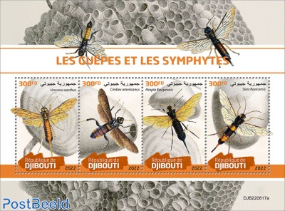 Wasps and sawflies