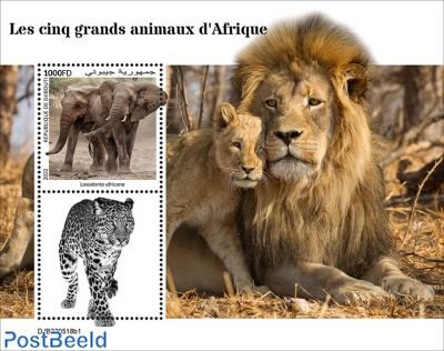 The big five of Africa