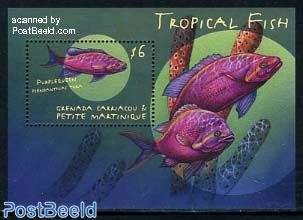 Tropical fish s/s, psendanthias tuka