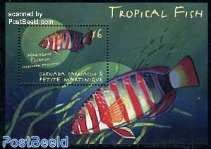 Tropical fish s/s, choerodon fasciatus