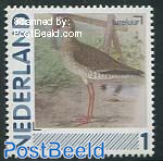 Birds, Common redshank 1v