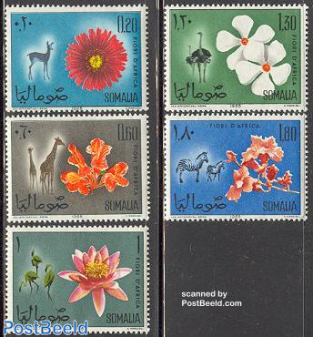 Stamp 1967, Romania Flowers 6v, 1967 - Collecting Stamps - PostBeeld -  Online Stamp Shop - Collecting